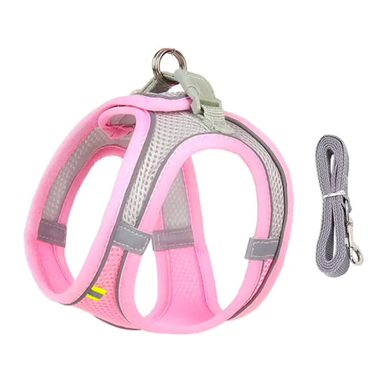 Conjunto de Arnés y Correa para Perros